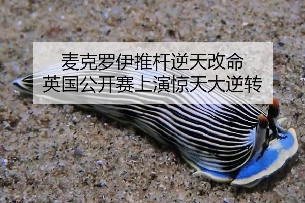 mai-ke-luo-yi-tui-gan-ni-tian-gai-ming-ying-guo-gong-kai-sai-shang-yan-jing-tian-da-ni-zhuan-1-925.jpg